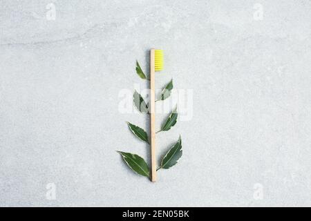Bamboo toothbrushes and green leafs on light stone table. Zero waste concept for self-care . Plastic-free, organic Stock Photo