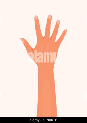 Hand showing five fingers and palm vector illustration. Woman or man palm of hand isolated white background. outside of the hand flat modern  design Stock Vector