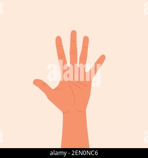 Hand showing five fingers and palm vector illustration. Woman or man palm of hand isolated white background. outside of the hand flat modern  design Stock Vector