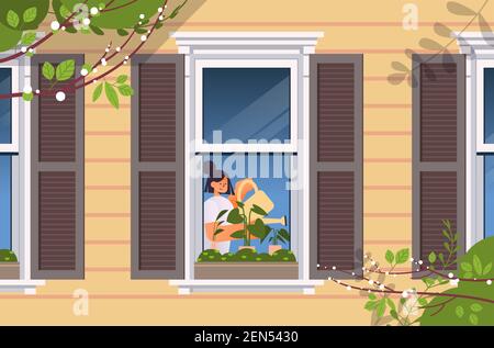 young woman holding watering can and pouring plants home gardening concept girl taking care of houseplants in house window portrait horizontal vector illustration Stock Vector
