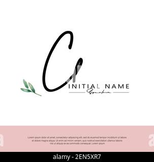C L CL Initial letter handwriting and signature logo. Beauty vector initial logo .Fashion, boutique, floral and botanical Stock Vector