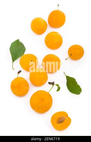 Yellow plum with leaves isolated on white background. Stock Photo