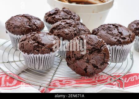 Homemade double chocolate muffins Stock Photo