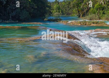 Lush tropical rainforest by the Agua Azul cascades, Chiapas, Mexico. Stock Photo