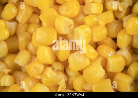 Close up photo of corn seeds. Corn seed background Stock Photo