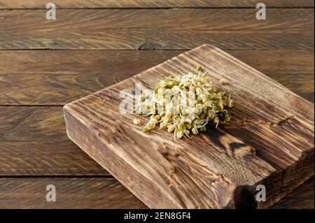 Germinated food. Sprouted beans in a plate on rustic wooden background. Macrobiotics