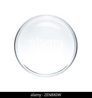 Empty petri dish isolated on white background - flat lay Stock Photo
