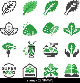 kale icon set,vector and illustration Stock Vector