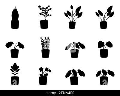 A set of silhouettes of potted flowers isolated on a white background. Indoor plants vector illustration. Stock Vector