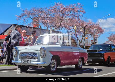 A pink and white 1960 Ford Prefect at a classic car show. In the background are pink cherry blossom trees Stock Photo