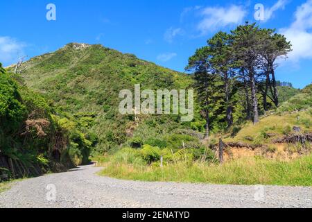 A gravel road winds through hilly New Zealand countryside Stock Photo