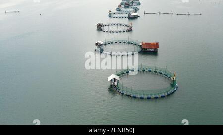 Fish farm with cages for fish and shrimp in the Philippines, Luzon. Aerial view of fish ponds for bangus, milkfish. Fish cage for tilapia, milkfish farming aquaculture or pisciculture practices. Stock Photo