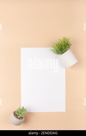 Mocup on a beige background. Empty white space for text. Advertising, design, post. Green succulents, artificial plants in pots. Stock Photo