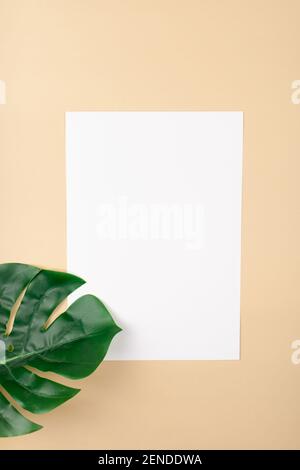 Mocup on a beige background. Empty white space for text. Advertising, design, post. Monstera, artificial plant flat lay Stock Photo