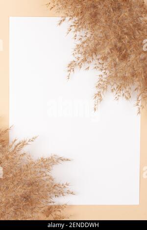 Mocup on a beige background. Empty white space for text. Advertising, design, post. Pampas, reeds, broomstick, dry bamboo trending plant Stock Photo