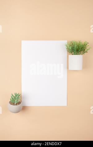 Mocup on a beige background. Empty white space for text. Advertising, design, post. Green succulents, artificial plants in pots. Stock Photo