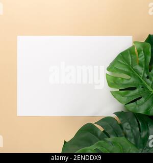 Mocup on a beige background. Empty white space for text. Advertising, design, post. Monstera, artificial plant flat lay Stock Photo