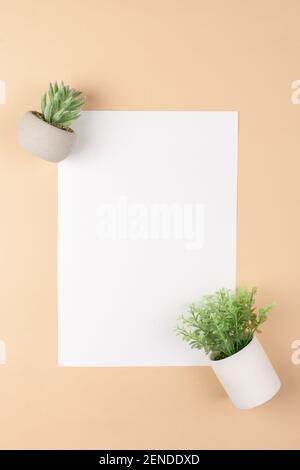 Mocup on a beige background. Empty white space for text. Advertising, design, post. Green succulents, artificial plants in pots. Stock Photo