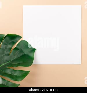 Mocup on a beige background. Empty white space for text. Advertising, design, post. Monstera, artificial plant flat lay Stock Photo