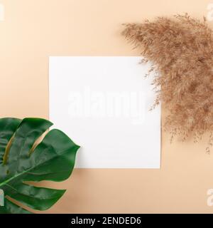 Mocup on a beige background. Empty white space for text. Advertising, design, post. Monstera, artificial plant flat lay Stock Photo