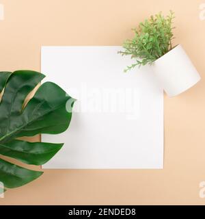 Mocup on a beige background. Empty white space for text. Advertising, design, post. Monstera, artificial plant flat lay Stock Photo