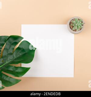 Mocup on a beige background. Empty white space for text. Advertising, design, post. Monstera, artificial plant flat lay Stock Photo