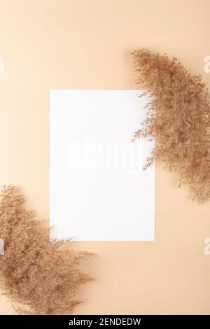 Mocup on a beige background. Empty white space for text. Advertising, design, post. Pampas, reeds, broomstick, dry bamboo trending plant Stock Photo