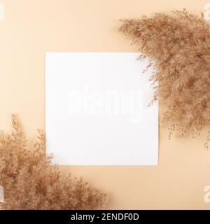 Mocup on a beige background. Empty white space for text. Advertising, design, post. Pampas, reeds, broomstick, dry bamboo trending plant Stock Photo