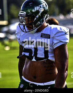 East Rutherford, New Jersey, USA. 10th Nov, 2019. New York Jets linebacker Frankie  Luvu (50) and outside linebacker Brandon Copeland (51) reacts to the win  following the NFL game between the New