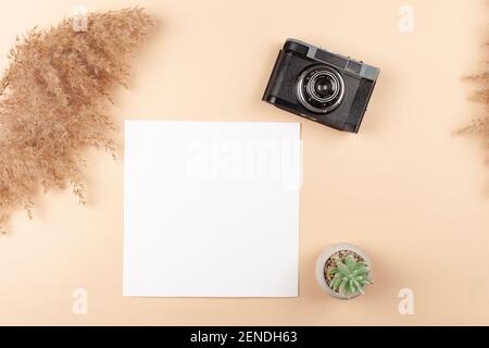 Mocup on a beige background. Beautiful plants, empty white space for text. Advertising is a design post. flat lay Camera For the photographer Stock Photo