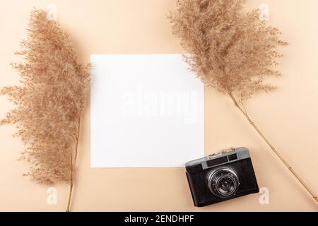 Mocup on a beige background. Beautiful plants, empty white space for text. Advertising is a design post. flat lay Camera For the photographer Stock Photo