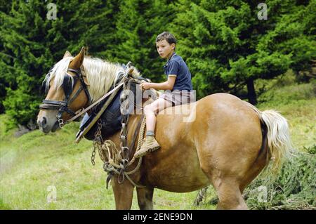 Malabar Princess Year : 2004 - France Jules-Angelo Bigarnet  Director :Gilles Legrand Stock Photo