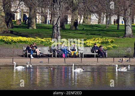 London, UK. 26th Feb, 2021. Daffodils in St James Park. Aga from Poland dressed in green spring colours. Credit: JOHNNY ARMSTEAD/Alamy Live News Stock Photo