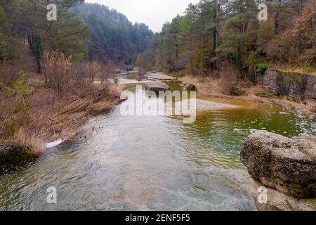 View of the Merles river in winter crossing a forest of oaks and white and red pines. Sta. Maria de Merles, Catalonia, Spain Stock Photo
