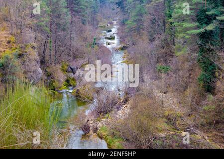View of the Merles river in winter crossing a forest of oaks and white and red pines. Sta. Maria de Merles, Catalonia, Spain Stock Photo