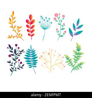 Set with original bright gradient abstract plants, branches and leaves.Vintage colorful botanical pattern collection icons for design. Isolated on whi Stock Vector