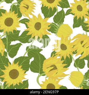 Seamless pattern with sunflowers on white background. Vector backdrop with yellow flower in cartoon flat design. Stock Vector