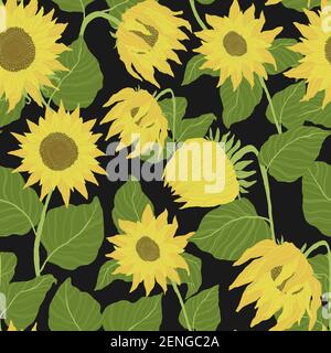 Seamless pattern with sunflowers on black background.  Vector background with yellow flower in cartoon flat design. Stock Vector