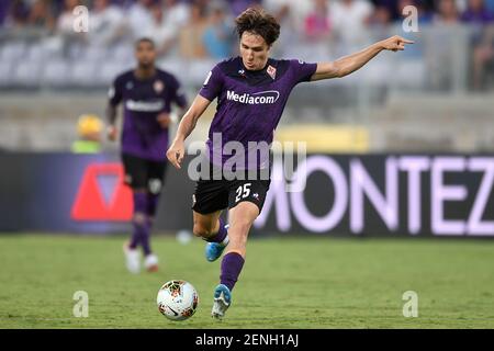 Calcio a Firenze: ACF Fiorentina, Stadio Artemio Franchi, Storia dell'ACF  Fiorentina, Colori e simboli dell'ACF Fiorentina