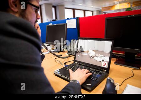 Pet camera screens and owners watching pets on mobile devices. Monitoring pets from park and office and spar. Stock Photo
