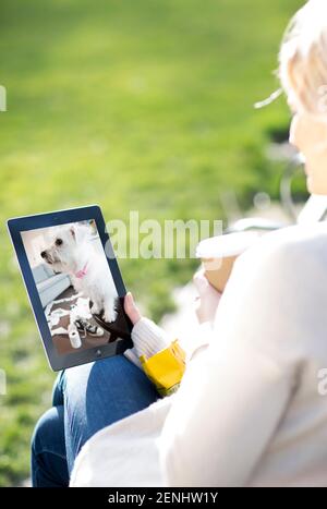 Pet camera screens and owners watching pets on mobile devices. Monitoring pets from park and office and spar. Stock Photo