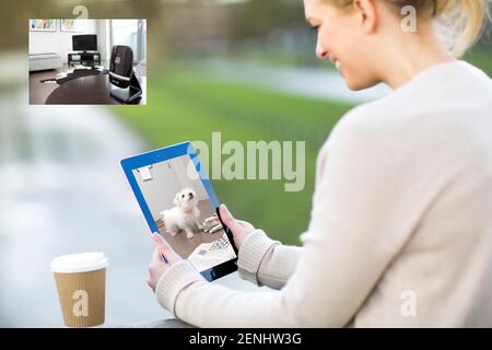 Pet camera screens and owners watching pets on mobile devices. Monitoring pets from park and office and spar. Stock Photo