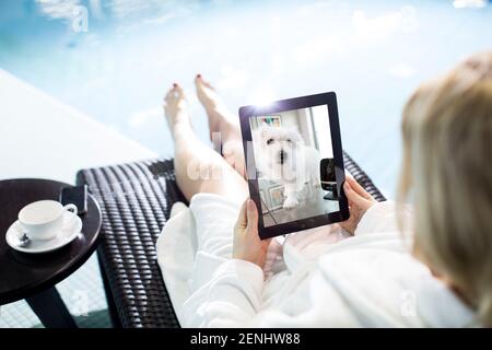 Pet camera screens and owners watching pets on mobile devices. Monitoring pets from park and office and spar. Stock Photo