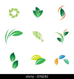 green leaf logo set vector illustration design template Stock Vector