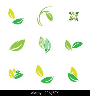 green leaf logo set vector illustration design template Stock Vector