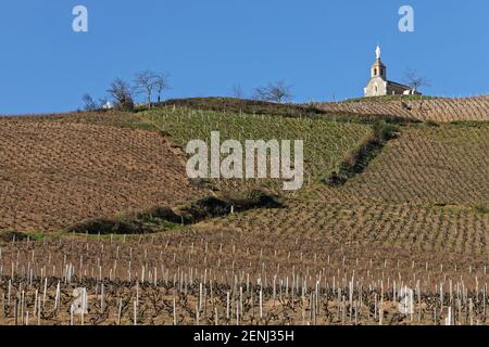 La Chapelle de la Madone (Chapel of the Madonna) dominates the vineyards of Beaujolais in Fleurie Stock Photo