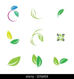 green leaf logo set vector illustration design template Stock Vector