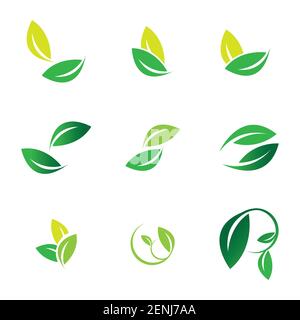 green leaf logo set vector illustration design template Stock Vector