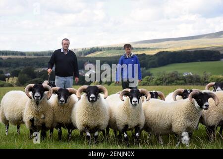 Scottish Farmers – Hugh and Alan Blackwood, Auldhouseburn farm, Muirkirk, Ayrshire Stock Photo