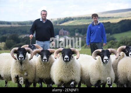 Scottish Farmers – Hugh and Alan Blackwood, Auldhouseburn farm, Muirkirk, Ayrshire Stock Photo